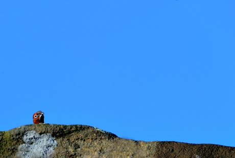 One To One Wildlife Photography