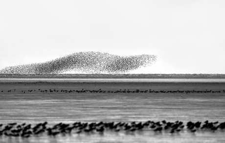 Winters Waders Norfolk