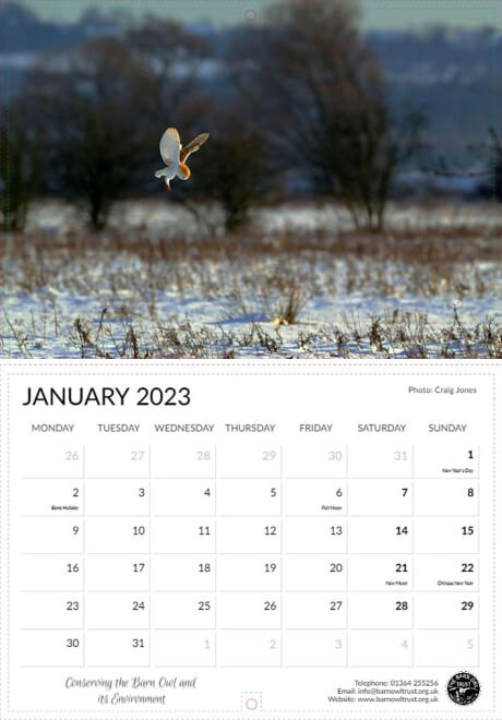 Barn Owl Trust 2023