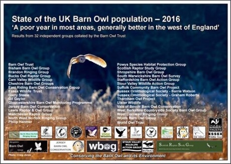Barn Owl Trust