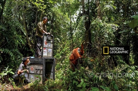 National Geographic Magazine