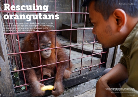 Wild Planet Magazine