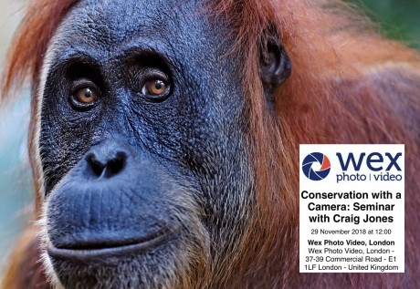 Conservation With A Camera, London