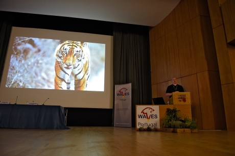 Waves Event , Portugal