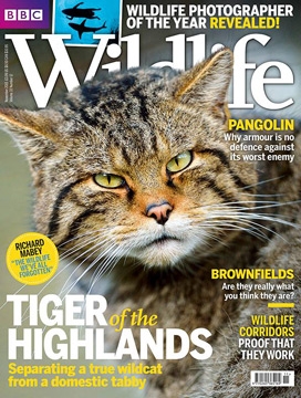 November 2015 -  BBC Wildlife Magazine 