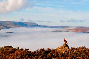 September 2011 - BWPA Awards