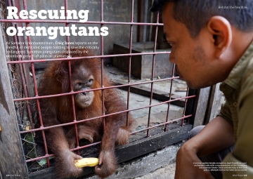 December 2015 - Wild Planet magazine