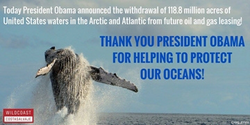 December 2016 - Wildcoast Campaign 