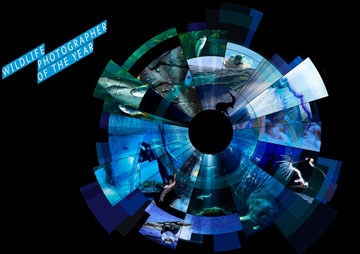 October 2016 - Wildlife Photographer of the Year 2015-Finalist