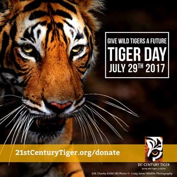July 2017 - Global Tiger Day 2017 