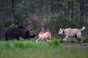 August 2016 - Published In Finish Press 