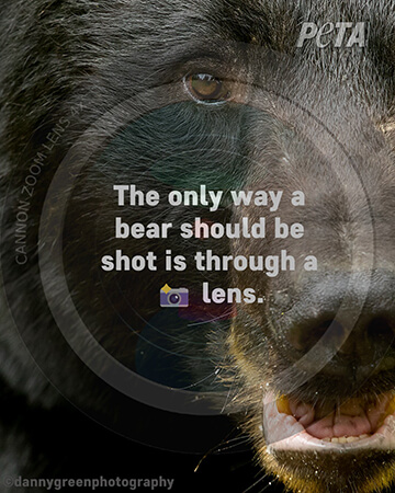 June 2022 - PETA Campaign