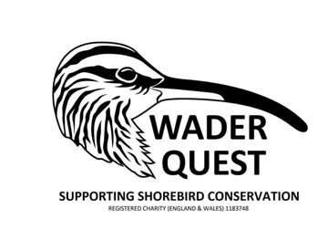 October 2019 - Wader Quest Event