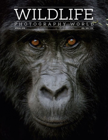 March 2016 - Wildlife Photography World 