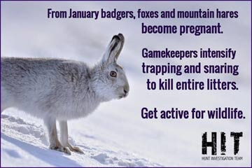 January 2020 -  Get Active For Wildlife