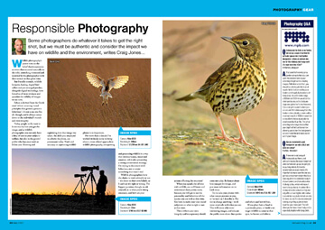 May 2022 - Bird Watching Article