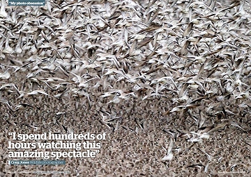 September 2011- Daily Telegraph 