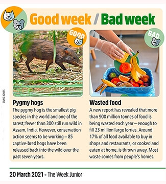 March 2021 - The Week Junior
