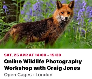 April 2020 - Photography Webinar
