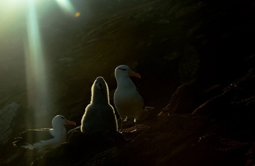 August 2013 -Finalist GDT 2013