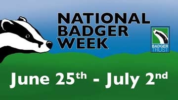 June 2016 - National Badger week 