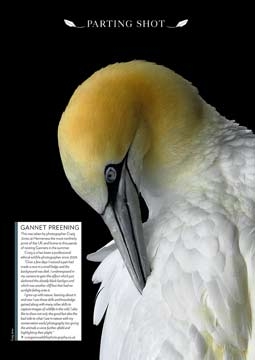 August 2016 - Bird Watching Magazine 