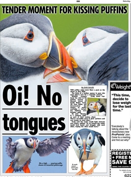 May 2011 - Puffins in the Press 