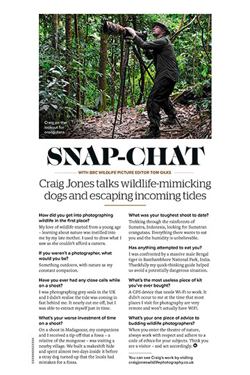 October 2022 - BBC Wildlife