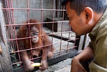 June 2015 - Telegraph newspaper 