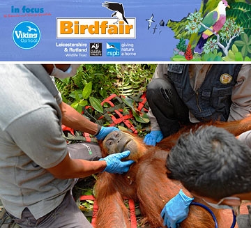 August 2017 - Birdfair Talk 