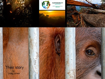 November 2014 -sustainability conference, Portugal 