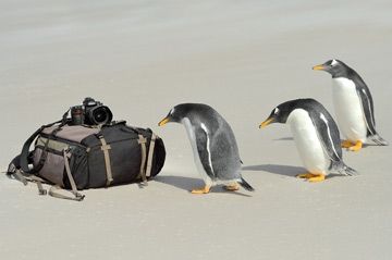 March 2014 - Telegraph, Guardian Media