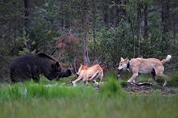 August 2016 - Daily Mail 