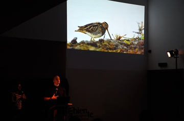 November 2016 - Amigos do Cáster Festival 
