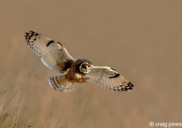 March 2012 - Media Coverage 