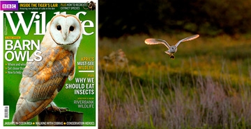 April 2013 - BBC Wildlife Magazine 