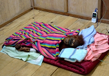 December 2014 - National press 