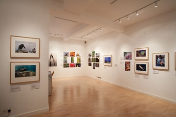 September 2009 - BWPA Commended Image 