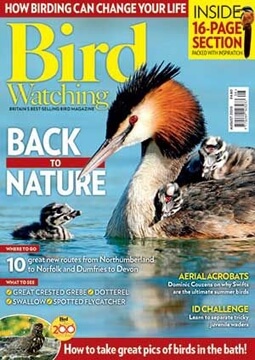 August 2020 - Bird Watching Magazine