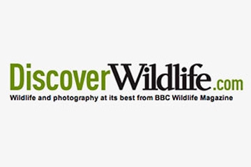 May 2014 -BBC Wildlife website 