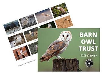 October 2022 - The Barn Owl Trust