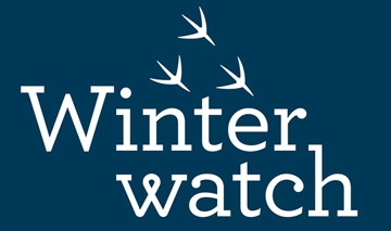 February 2019 - BBC Winterwatch