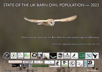 April 2024 - Barn Owl Report